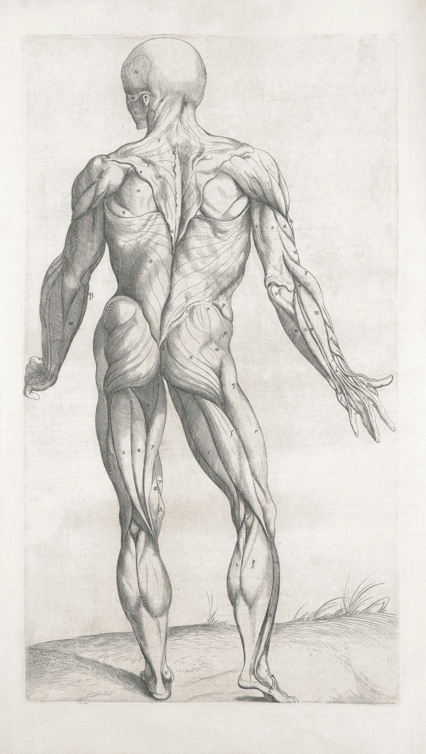 Lesiones musculoesqueléticas